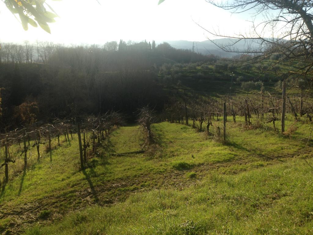 Podere San Lorenzo * Terranuova Bracciolini